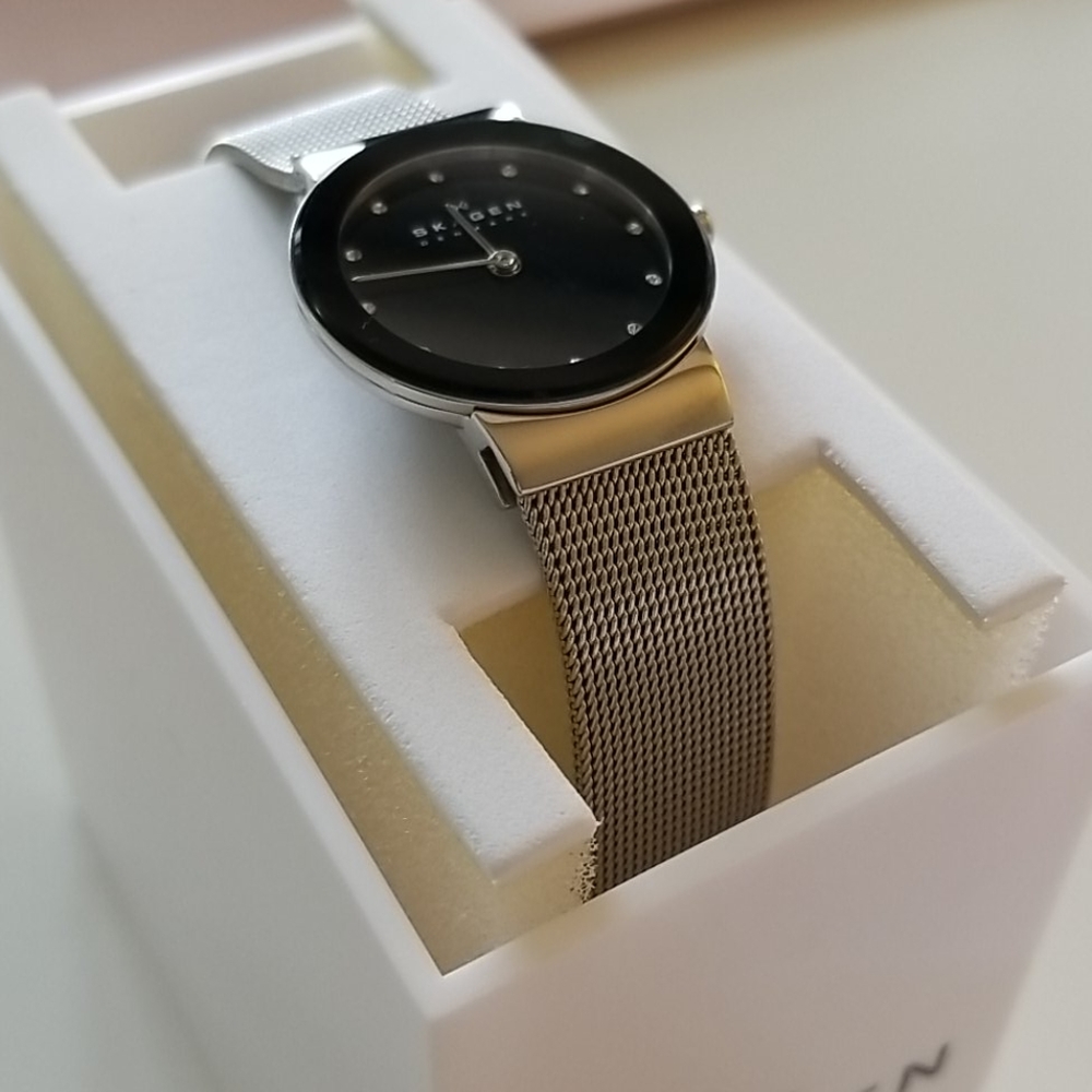 Skagen Denmark Watch
